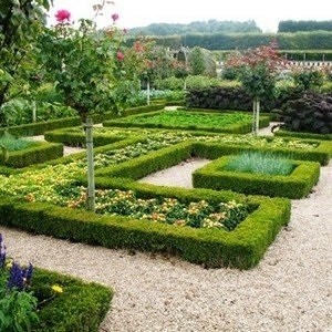 Engedje meg, hogy egy gyönyörű kert szegélyek, kerítések ágyak számára