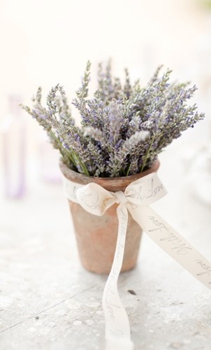 Esküvő a stílus Provence alapjait stílus és ötletek inspiráció (esküvő) Esküvő a stílus Provence alapjait stílus és ötleteket ihlet