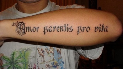 Tetoválás latin megnyílik neked a kifinomult és mély értelmét
