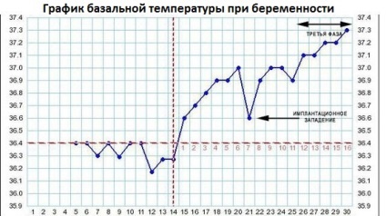 Hőmérséklet menstruáció előtt, hogy miért emelkedik a sebesség, milyen mértékben