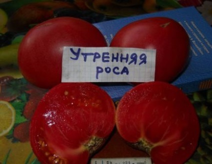 Paradicsom reggeli harmat, aki ültetett véleménye, fotók paradicsom (reggel) Paradicsom reggeli harmat, aki ültetett véleménye, fotók paradicsom
