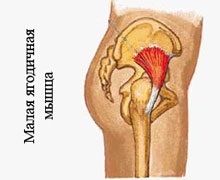 Butt Workout - gyakorlatok, speciális építési képzés és komplex módon a szivattyú fel (gyakorlat) Butt Workout - gyakorlatok, speciális építési képzés és komplex módon a szivattyú fel