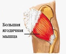 Butt Workout - gyakorlatok, speciális építési képzés és komplex módon a szivattyú (fenék) Butt Workout - gyakorlatok, speciális építési képzés és komplex módon a szivattyú fel