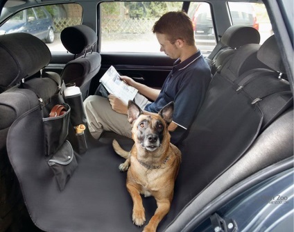 Azt tanítjuk a kutyát, hogy viselkednek nyugodtan az autóban