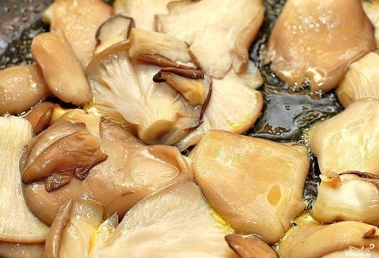 Oyster előnyök és kárt az emberi test, hogyan kell főzni őket