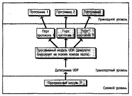 típusú protokollok