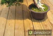 Növekvő fa bonsai magokból otthon, ellátás, a technológia, hogyan nőnek magról (feltételek) Felnövő otthont a fákkal bonsai magvakból, ellátás, a technológia, hogyan növekszik magról