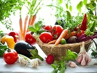 Zöldségtermesztés mint üzleti kezdeni