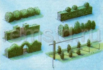 Kerítések és kerítés egy családi ház
