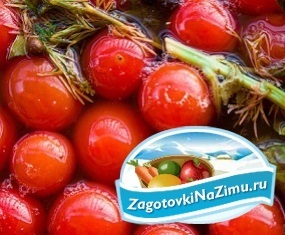 Sózása paradicsom tégelyek, pácolás uborka és a paradicsom, a paradicsom sózás módszerek (bankok) Sózása paradicsom tégelyek, pácolás uborka és a paradicsom, paradicsom módjait sózás