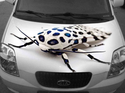 3D festékszóró autó mintázás módszerek