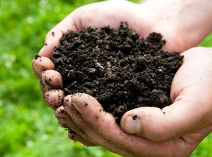 Mi a fonálférgek a talajban ellenőrzési