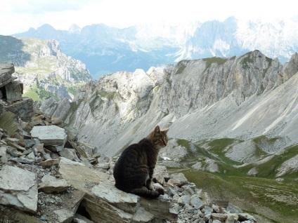 Dolomitokban, Olaszország (28 fotó) (dolomit) Dolomitokban, Olaszország (28 fotó)