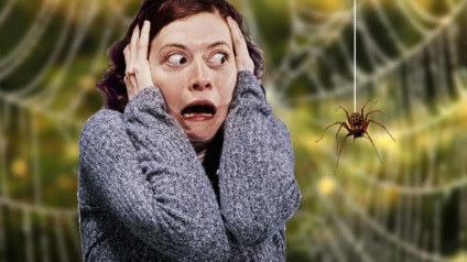 A fóbia nevezik a félelem pókok egy szót, a félelem a csótányok