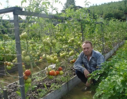 Az ágyak saját kezűleg, mit és hogyan kell csinálni velük rendesen