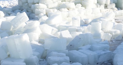 A történelem a hűtőben, mint ő - szelíd - hideg