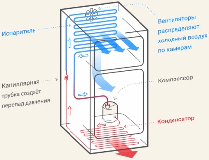 A találmány a hűtőszekrény, sneg (így csak a) A találmány a hűtőszekrény, sneg