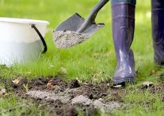 Meszezés a talaj is végezzék, szabályok és előírások
