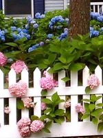 Milyen szép, hogy festeni a kerítést