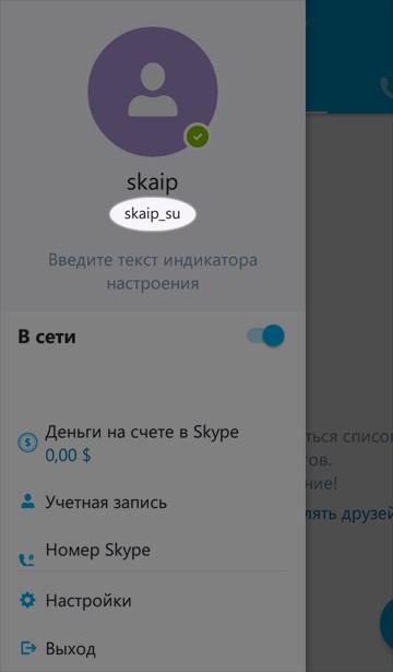 Hogyan lehet regisztrálni a Skype, jelezve saját bejelentkezési