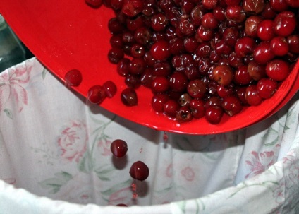 Hogyan készítsünk házi cseresznye likőr receptek cseresznye likőr otthon