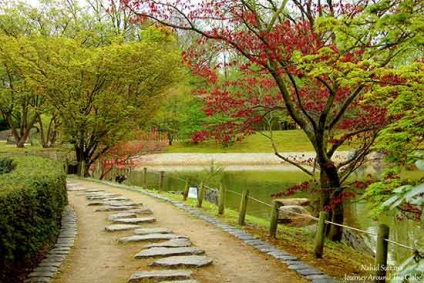 Hogyan hozzunk létre egy japánkerttel