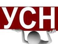 Hogyan lehet csökkenteni az adót az egyszerűsített adórendszer jövedelem mínusz költségek - azaz a minimális veszteség (csökkenése) Hogyan lehet csökkenteni az adót az egyszerűsített adórendszer jövedelem mínusz költségek - azaz a legkisebb veszteséggel