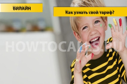 Hogyan találjuk meg a díjcsomag Beeline - 4 módon (terv) Hogyan találjuk meg a díjcsomag Beeline - 4 Ways