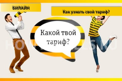 Hogyan találjuk meg a díjcsomag Beeline - 4 módon (légvonalban) Hogyan találjuk meg a díjcsomag Beeline - 4 Ways