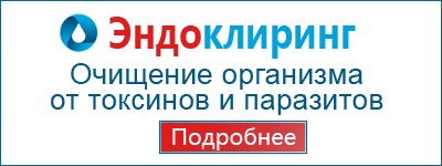 Hogyan lehet műtrágya, öntet zöldségek (hogy öltözködés műtrágya) Hogyan lehet műtrágya, öntet zöldség