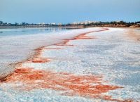 Larnaca - útmutató, fotók, látnivalók (ruha Dubai turisták) Larnaca - útmutató, fotók, épületek