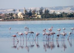 Larnaca - útmutató, fotók, épületek