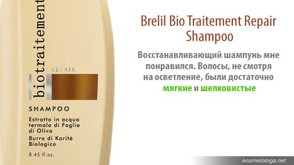 Otthonom hajápolás (BRELIL szakmai) (BRELIL) Otthonom hajápolás (BRELIL szakmai)