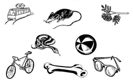 A neuropszichológiai kutatások - a tanulmány az érzékelés (a gyermek testének kérdezi) A neuropszichológiai kutatások - a tanulmány az érzékelés