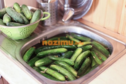 Uborka savanyúság télen, mint a dob - a recept előforma fényképpel (téli) Uborka sós télen, mint a dob - egy recept üres fotó