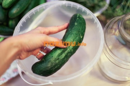 Uborka savanyúság télen, mint a dob - a recept előforma fényképpel (sós) Uborka sós télen, mint a dob - egy recept üres fotó
