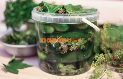 Uborka savanyúság télen, mint a dob - a recept előforma fényképpel (fotók) Uborka sós télen, mint a dob - egy recept üres fotó