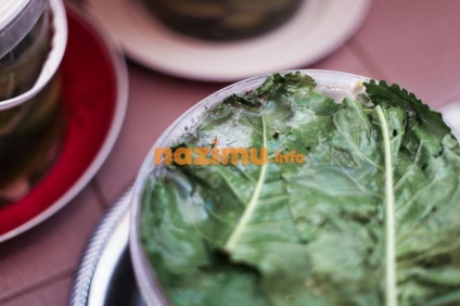 Uborka savanyúság télen, mint a dob - a recept előforma fényképpel (uborka savanyúság télen, mint egy dob) Uborka sós télen, mint a dob - egy recept üres fotó