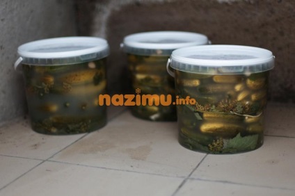 Uborka savanyúság télen, mint a dob - a recept előforma fényképpel (uborka savanyúság télen, mint egy dob) Uborka sós télen, mint a dob - egy recept üres fotó