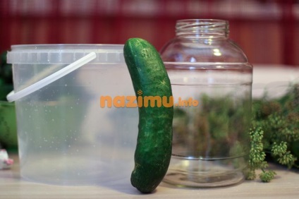 Uborka savanyúság télen, mint a dob - a recept előforma fényképpel (uborka) Uborka sós télen, mint a dob - egy recept üres fotó