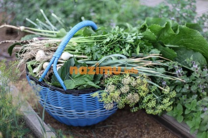 Uborka savanyúság télen, mint a dob - a recept előforma fényképpel (uborka) Uborka sós télen, mint a dob - egy recept üres fotó