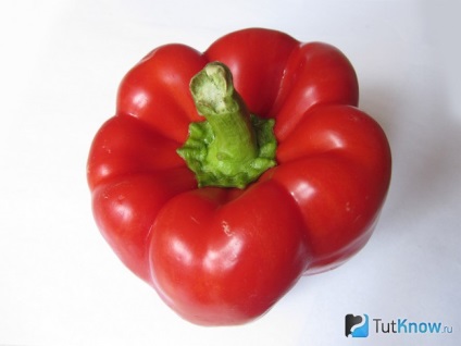 Pepper, hasznos tulajdonság és ellenjavallatok (bolgár) Pepper, hasznos tulajdonság és ellenjavallatok