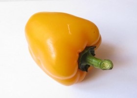 Pepper, hasznos tulajdonság és ellenjavallatok (ellenjavallat) Pepper, hasznos tulajdonság és ellenjavallatok