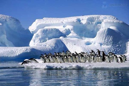 Miért Antarktisz - a leghidegebb hely a világon