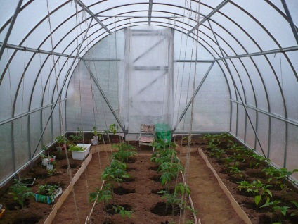 Öntözés az üvegházban polikarbonát korrekt rendszer, uborka és paradicsom
