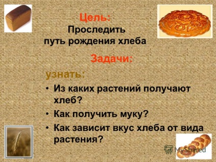 Előadás, hogy a kenyér született szerzők Antonov Dmitry, Horaskin Dmitry, 2-es fokozatú diákok