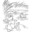Színezés nyúl 1 (színezés nyúl) Bunny Coloring 1