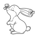 1 színezés nyúl (nyúl) Bunny Coloring 1