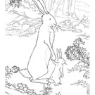 1 színezés nyúl (nyúl) Bunny Coloring 1