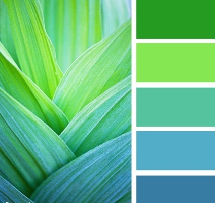 Milyen színű kombinált celadon